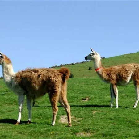 Apartmán Duplex 8 Pers. A La Mongie, Balcon, Vue Montagnes, Proche Pistes - Fr-1-404-110